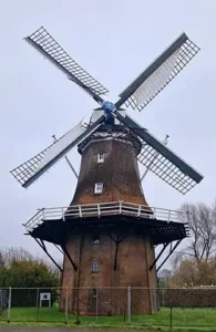 Molen